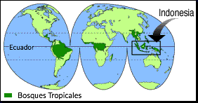 Mapa de Indonesia